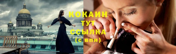 мдпв Богданович