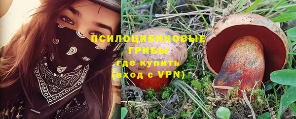 мдпв Богданович
