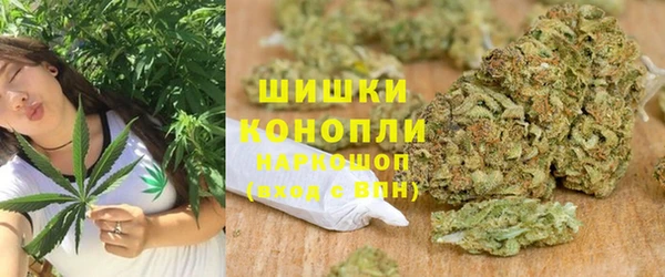 мдпв Богданович